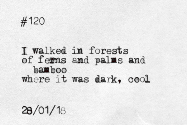 #120 I walked in forests of ferns and palms and bamboo where it was dark, cool 28/01/18