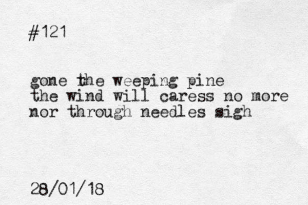 #121 gone rhe t weeping pine the wind will caress no more o n r through needles sigh 28/01/18
