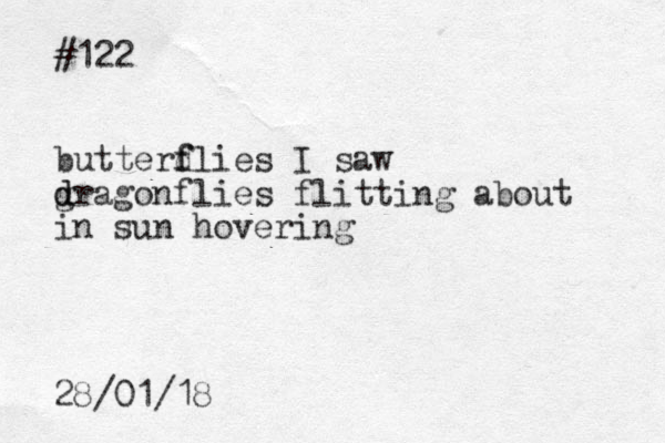 #122 butterd f flies I saw g d dragonflies flitting about in sun hovering 28/01/18