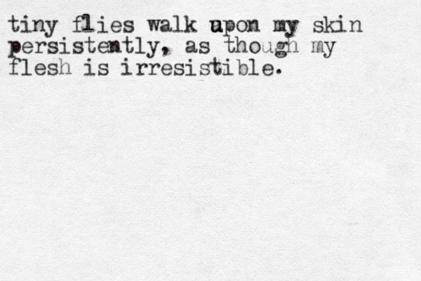 tiny flies walk a u upon my skin persistently, as though my flesh is irresistible.