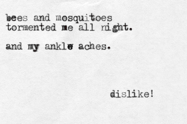 bees and mosquitoes tormented me all night. and my anklw e e aches. dislike! 