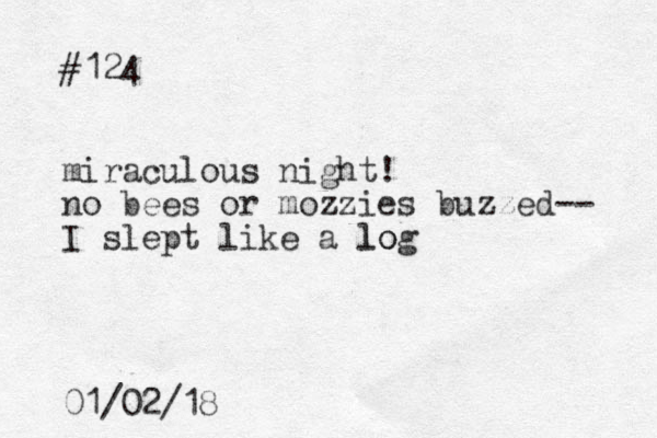 #124 miraculous night! no bees or mozzies buzzed-- I slept like a log lo 01/02/18