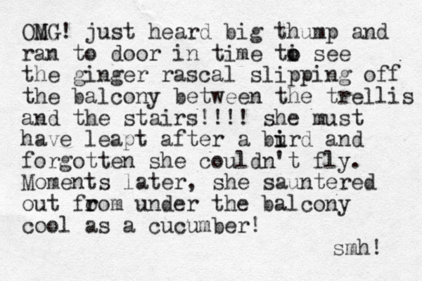 ONG MG! just heard big thump and ran to door in time ti see o o the ginger rascal slipping off the balcony between the trellis and the stairs!!!! she must have leapt after a burd i i and forgotten she couldn't fly. Moments later, she sauntered out fo r rom under the balcony cool as a cucumber! smh! 