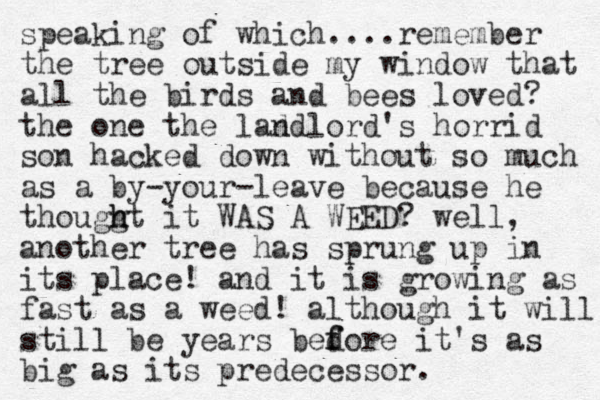 speaking of which....remember the tree outside my window that all the birds and bees loved? the one the lad ndlord's horrid son hacked down without so much as a by-your-leave because he thouggt h h it WAS A WEED? well, another tree has sprung up in its place! and it is growing as fast as a weed! although it will still be years bedore f f it's as big as its predecessor. 