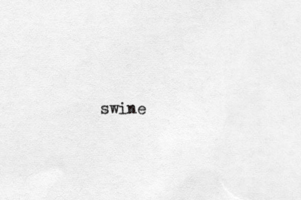 swine