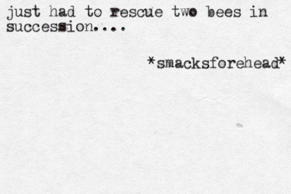 just had to rescue two bees in succession.... *smacksforehead* 
