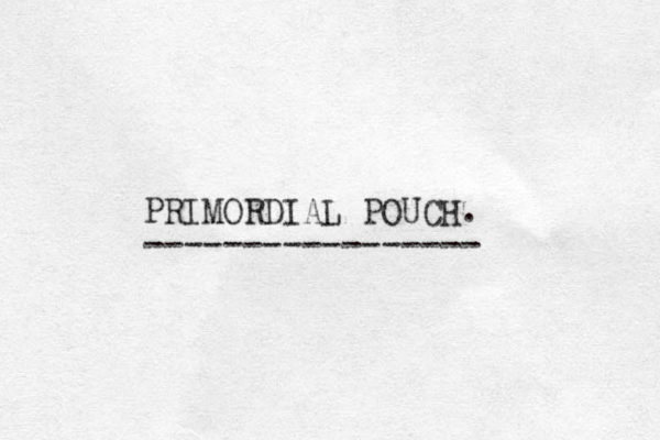 PRIMORDIAL POUCH. ----------------- 