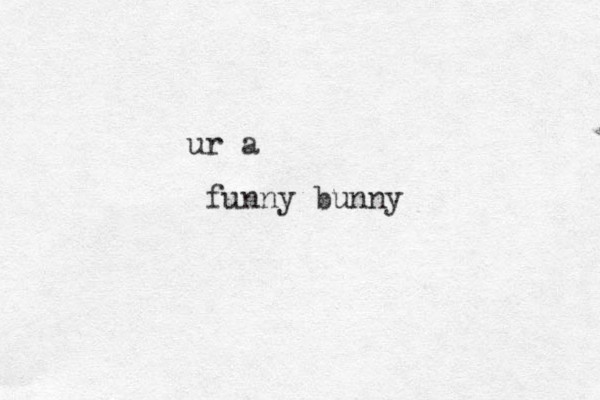 funny bunny ur a 