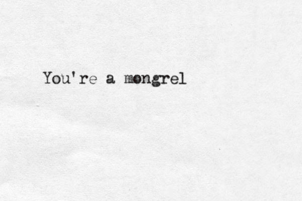 You're a mongrel