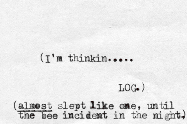 (I'm thinkin..... LOG.) almost ______ slept like one, until the bee incident in the night. ) ( 
