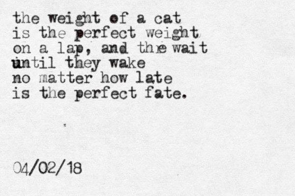 the weight of a cat is the perfect weight on a lap, and thr wait i u until they wake no matter how late is the perfect fate e . 04/02/18