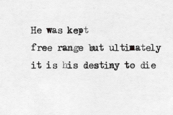 He was kept free range but ultimately it is his destiny to die 