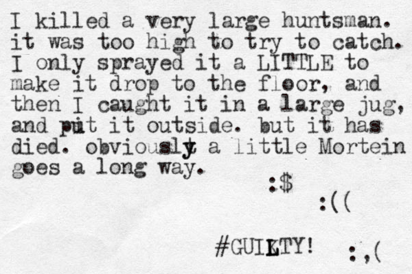 I killed a very large huntsman. it was too high to try to catch. I only sprayed it a LITTLE to make it drop to the floor, and the n I caught it in a large jug, and pit it u u outside. but it has died . obviouslt y y a little Mortein goes a long way. :$ :(( #GUIKTY L L L ! :,( 