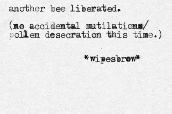 another bee liberated. (no accidental mutilations/ pollen desecration this time.) *wipesbrow* 