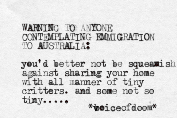 WARNING TO ANYONE CONTEMPLATING EMMIGRATION TO AUSTRALIA: you'd better not be squeamish against sharing your home with all manner of tiny critters. and some not so tiny..... *boiceofdoom* v v 
