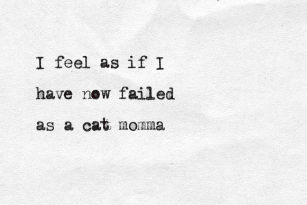 I feel as if I have now failed as a cat momma
