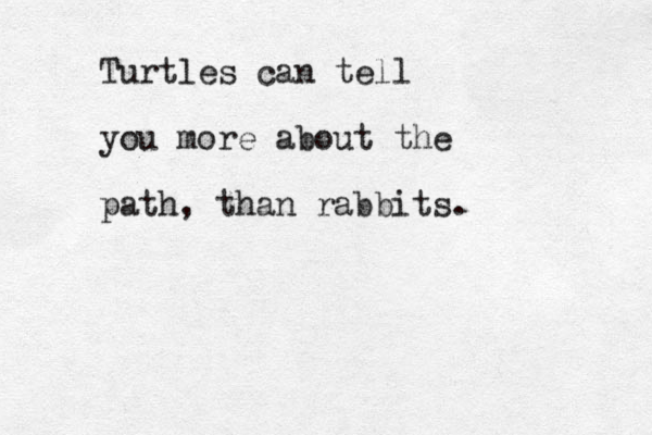 Turtles can tell you more about the path, than rabbits.