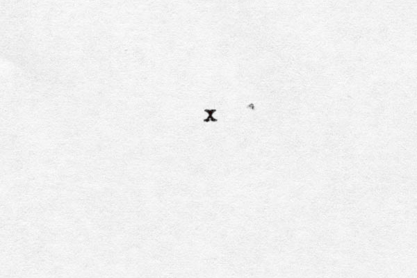 x