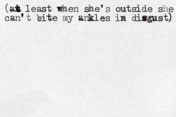 (an t t least when she's outside she can't bite my ankles in disgust) 
