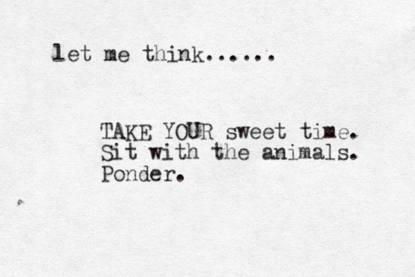 let me think...... TAKE YOUR sweet time . Sit with the animals. Ponder.