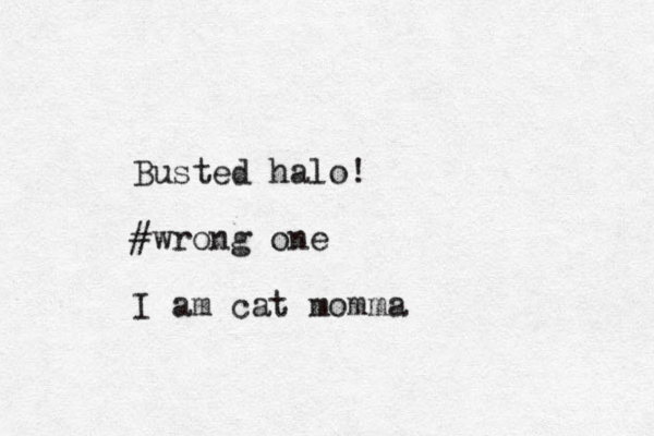 Busted halo! #wrong one I am cat momma