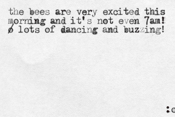 the bees are very excited this morning and it's not even 7am! o / lots of dancing and buzzing! :o 