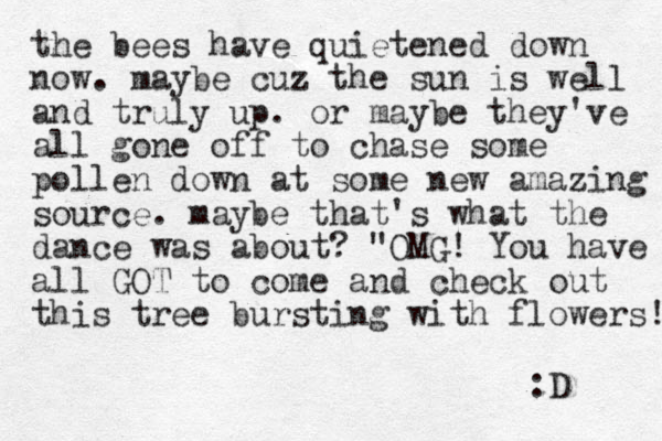 the bees have quietened down now. maybe cuz the sun is well and truly up. or maybe they've all gone off to chase some pollen down at some new amazing source. maybe that's what the dance was about? "OMG ! You have all GOT to come and check out this tree bursting with flowers! :D 