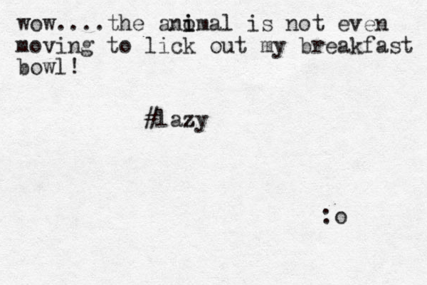 wow....the anom i i al is not even moving to lick out my breakfast bowl! #lazy z :o 