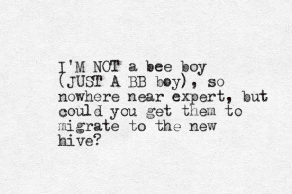 I'M NOT a bee boy (JUST A BB boy), so nowhere near expert, but could you get them to migrate to the new hive?