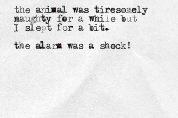 the animal was tiresomely naughty for a while but I slept for a bit. the alarm was a shock!