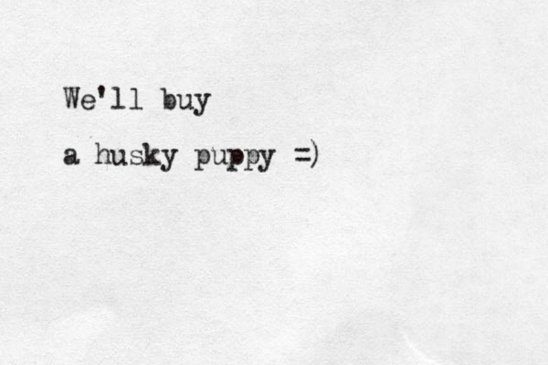 We'll buy a husky puppy =)