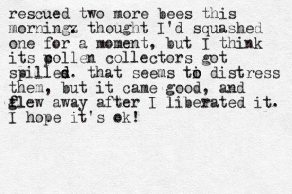 rescued two more bees this morningz . thought I'd squashed one for a moment, but I think its co p llen collectors got spilles d d . that seems ti o o distress them, but it came good, and g f flew away after I liberated it. I hope it's ok!
