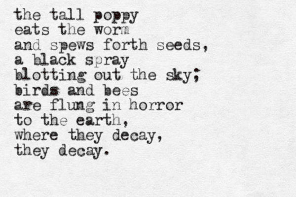 the tall poppy eats the worm and spews forth seeds, a black spray blotting out the sky; birds and bees are flung in horror to the earth, where they decay, they decay.