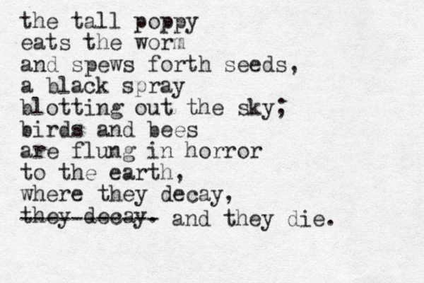 the tall poppy eats the worm and spews forth seeds, a black spray blotting out the sky; birds and bees are flung in horror to the earth, where they decay, they decay. ----------- and they die.