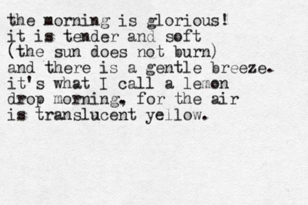 the morning is glorious! it is tender and soft (the sun does not burn) and there is a gentle breeze. it's what I call a lemon drop morning. , for the air is translucent yellow.