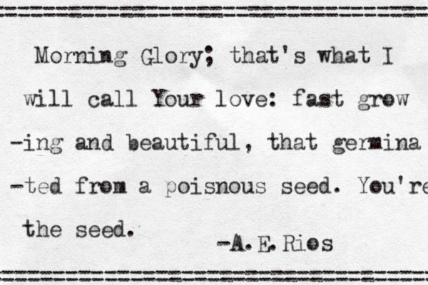 Morning Glory; that's what I will call Your love: fast grow -ing and beautiful, that germina -ted from a poisnous seed. You're the seed. -A.E.Rios =================================== =================================== 