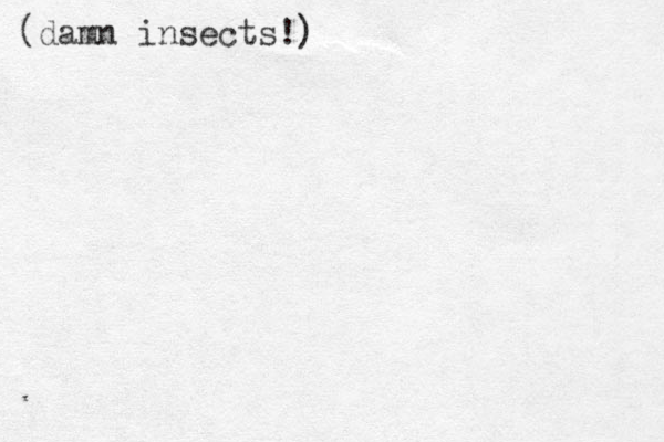 (damn i nsects!)