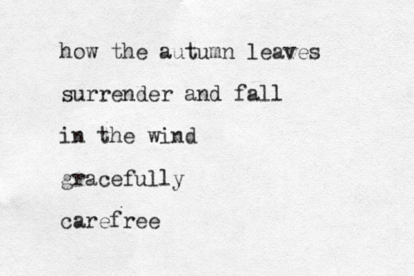 how the autumn leaves surrender and fall in the wind gracefully carefree