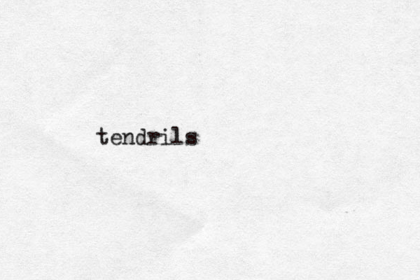 tendrils