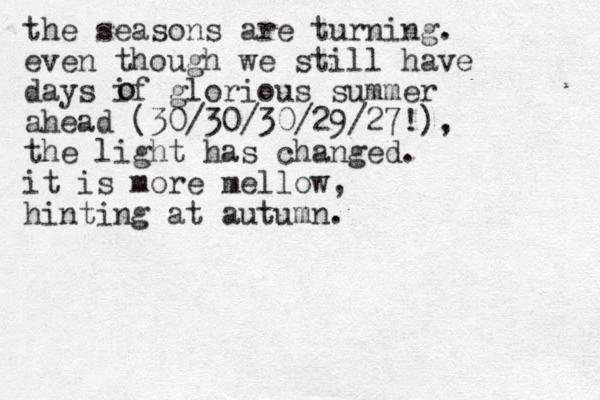 the seasons are turning. even though we still have days if glorious summer ahead (30/30/30/29/27!), the light has changed. it is more mellow, hinting at autumn. o o 