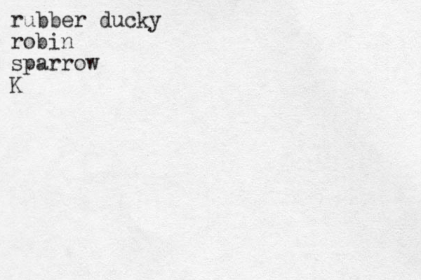 rubber ducky robin sparrow K