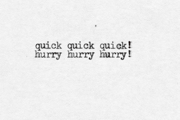 quick quick quick! hurry hurry hurry!