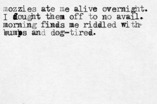 mozzies ate me alive overnight. I dought th d f f em off to no avail. morning finds me riddled with bumb p ps and dog-tired.