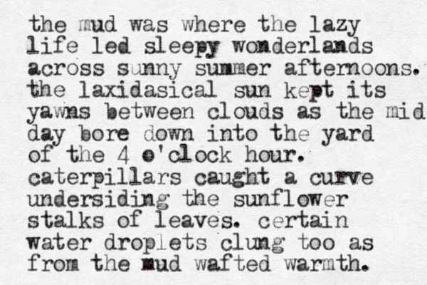 the mud was where the lazy life led sleepy wonderlands across sunny summer afternoons. the laxidasical sun kept its yawns between clouds as the mid day bore down into the yard of the 4 o'clock hour. caterpillars caught a curve undersiding the sunflower stalks of leaves. certain water droplets clung too as from the mud wafted warmth. 