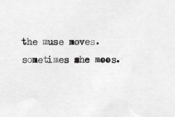 the muse moves. sometimes she moos.