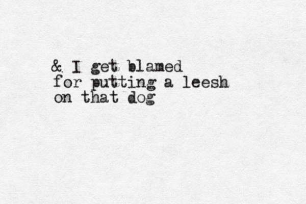 & I get blamed for putting a leesh on that dog