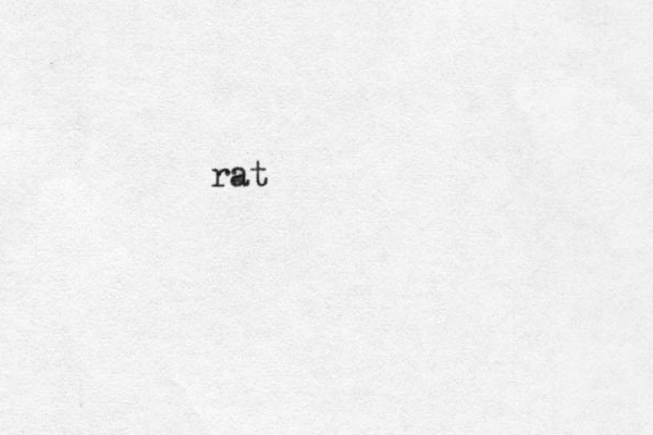 rat