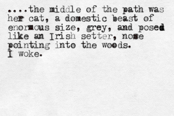 ....the middle of the path was her cat, a domestic beast of enormous size, grey, and poses d d like an Irish setter, nose pointing into the woods. I woke.