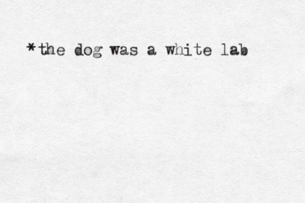 *the dog was a white lab 