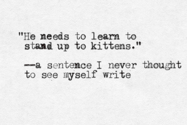 "He needs to learn to stand up to kittens." --a sentence I never thought to see myself write 